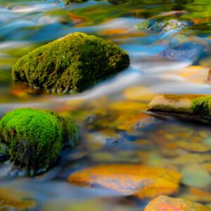 Pebble in the stream