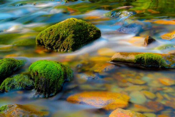 Pebble in the stream